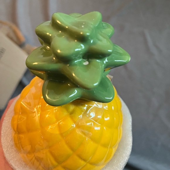 Rae Dunn Tropic Like it’s Hot - Picture 5 of 7